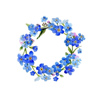 รูปดอกไม้สีน้ำพื้นหลังสีขาวกรอบ PNG , กรอบสีน้ำ, กรอบดอกไม้, ดอกไม้ภาพ PNG  และ PSD สำหรับดาวน์โหลดฟรี